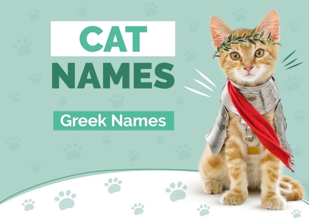 Greek Cat Names