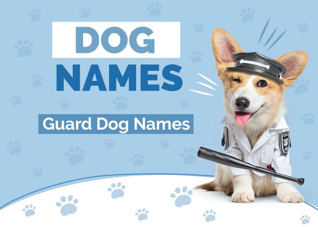 Guard Dog Names