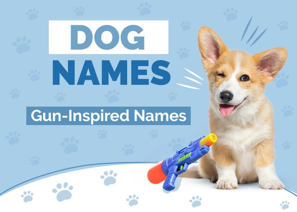 Gun Inspired Dog Names