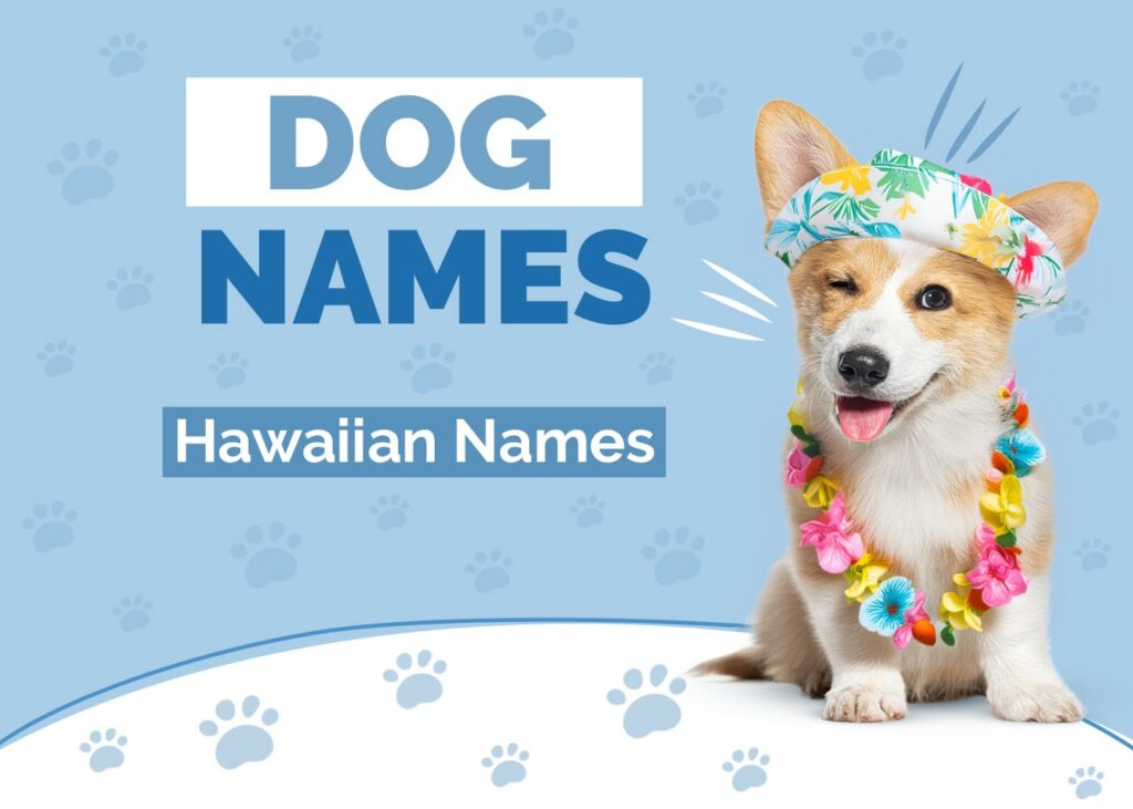 Hawaiian Dog Names