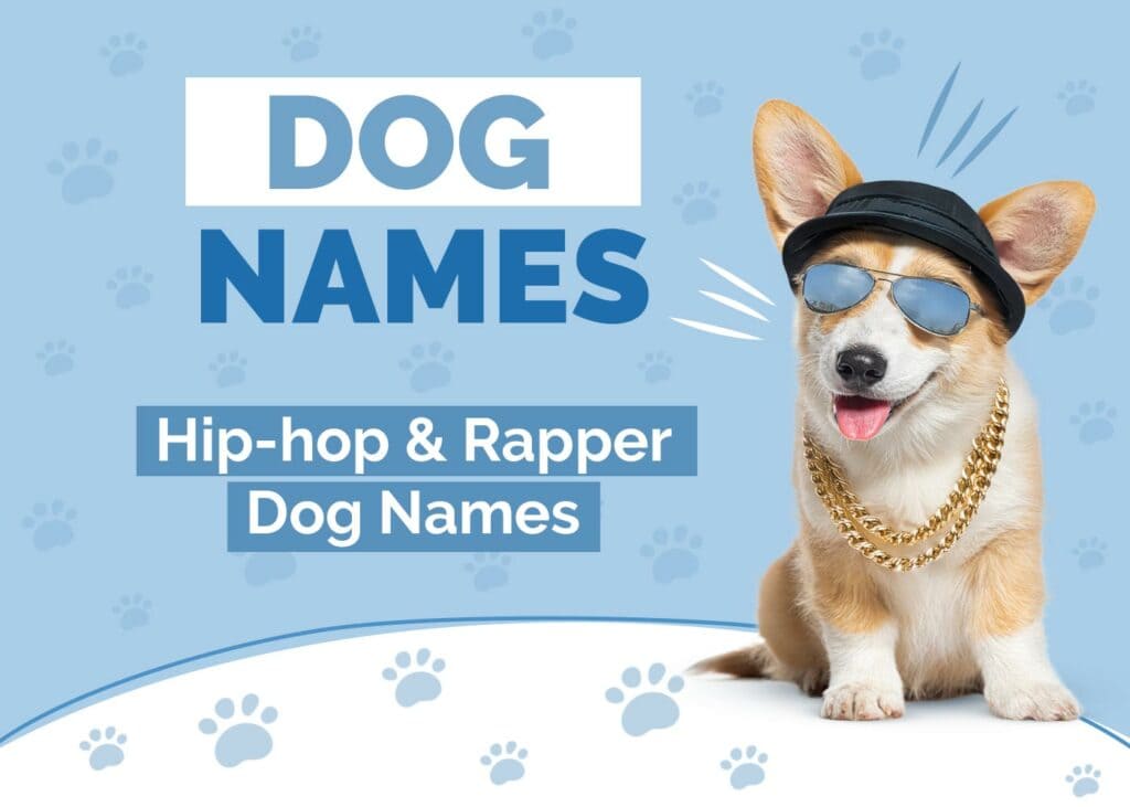 Hip Hop and Rapper Dog Names