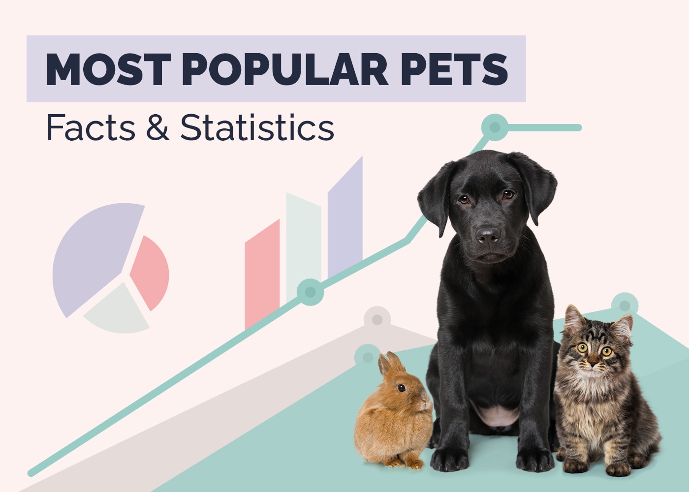 Most Popular pets Facts & Statistics
