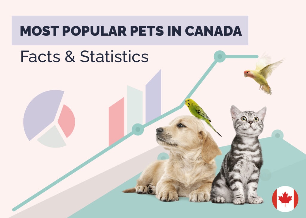 What Are the Most Popular Pets in Canada in 2024? 10 Statistics & Facts
