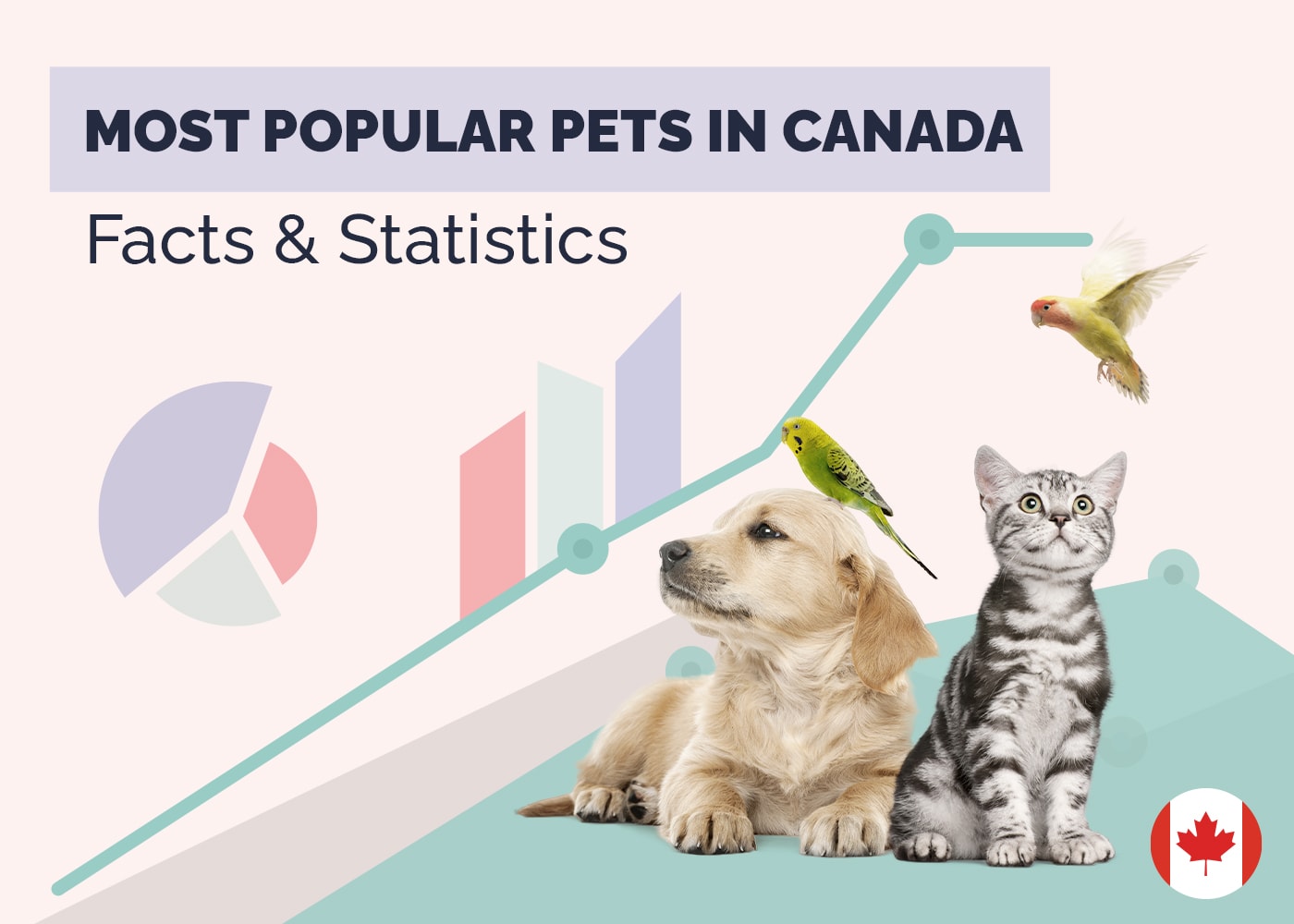 Most Popular pets in Canada Facts & Statistics