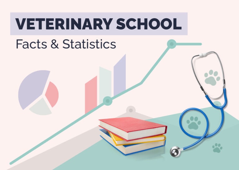 How Much Is Veterinary School 17 Surprising Statistics In 2025 Hepper Hepper Veterinary School Statistics V1 Jan 9 2024 768x549