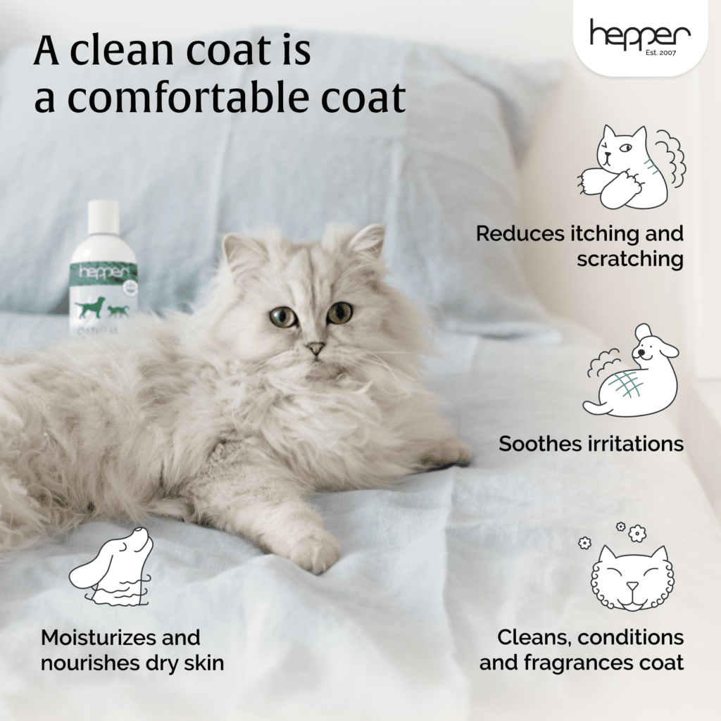 Colloidal Oatmeal Pet Shampoo (Aloe and Cucumber Scent) | Hepper