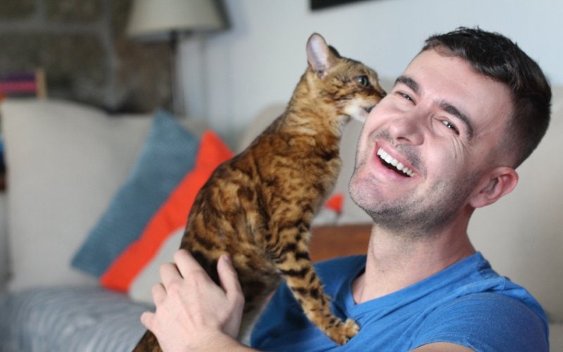 bengal cat licking a man's face