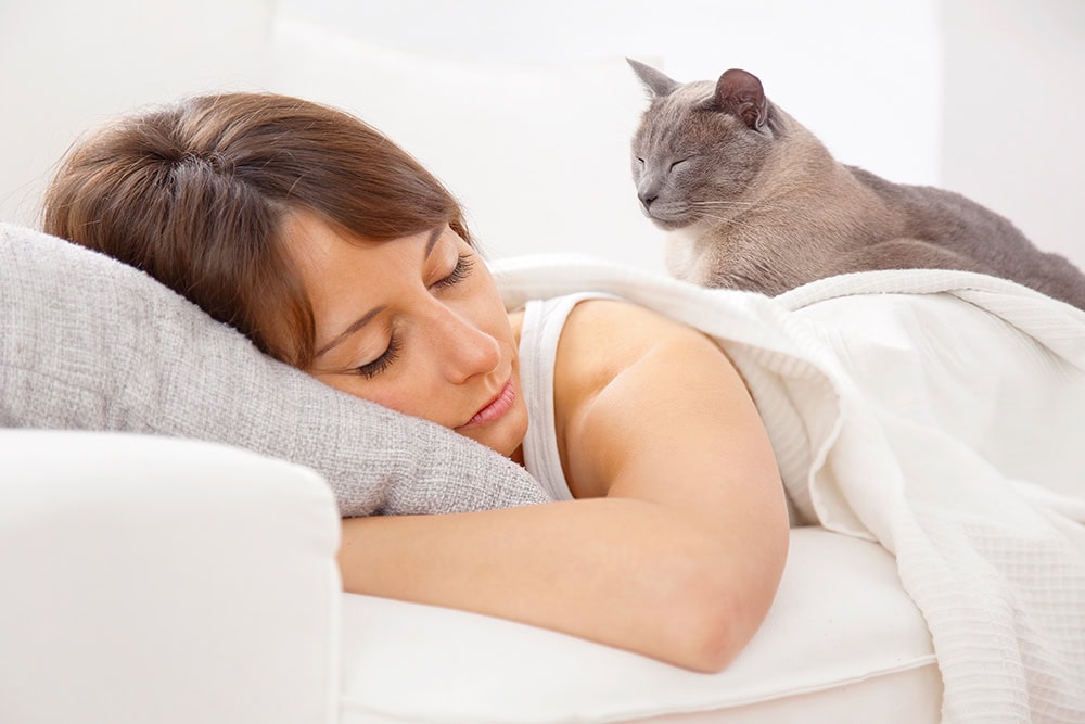 cat sleeping at the back of sleeping woman