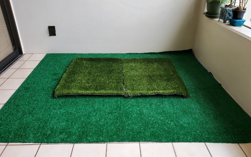 fake grass for potty training dogs or puppy at home
