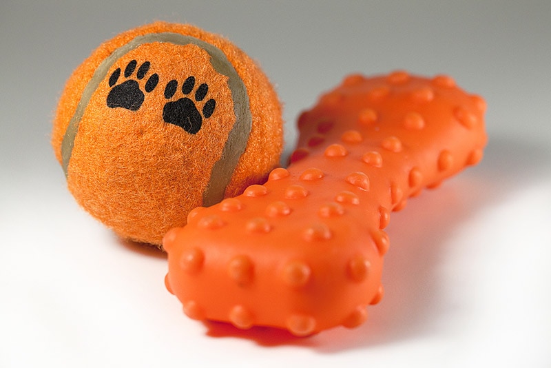 orange dog toys