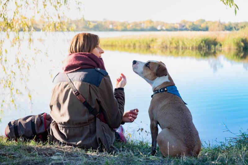 therapy dog sitting with owner on a lake