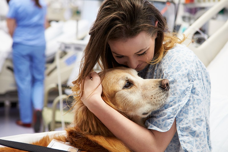 therapy dog visiting young female patient in hospital