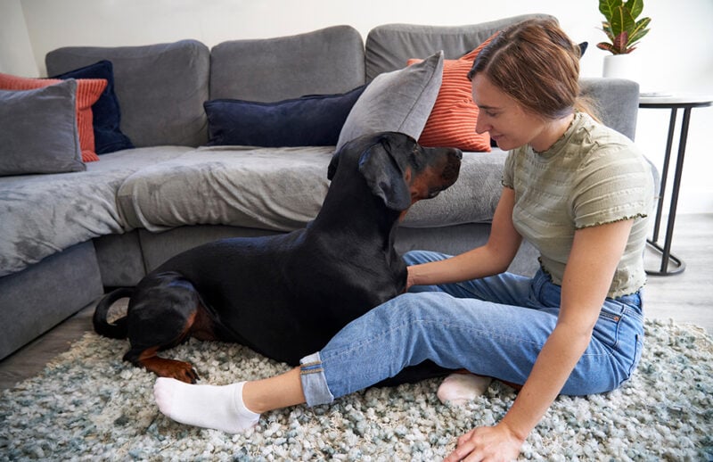 young woman sitting on the floor with doberman pinscher dog