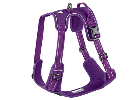 Chai’s Choice Premium Outdoor Clip Harness