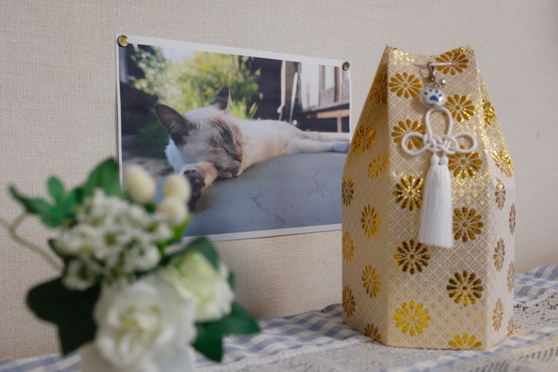 Cremated cat remains in an urn