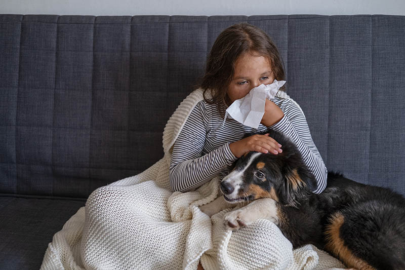 Girl is sneezing from fur allergy with her dog