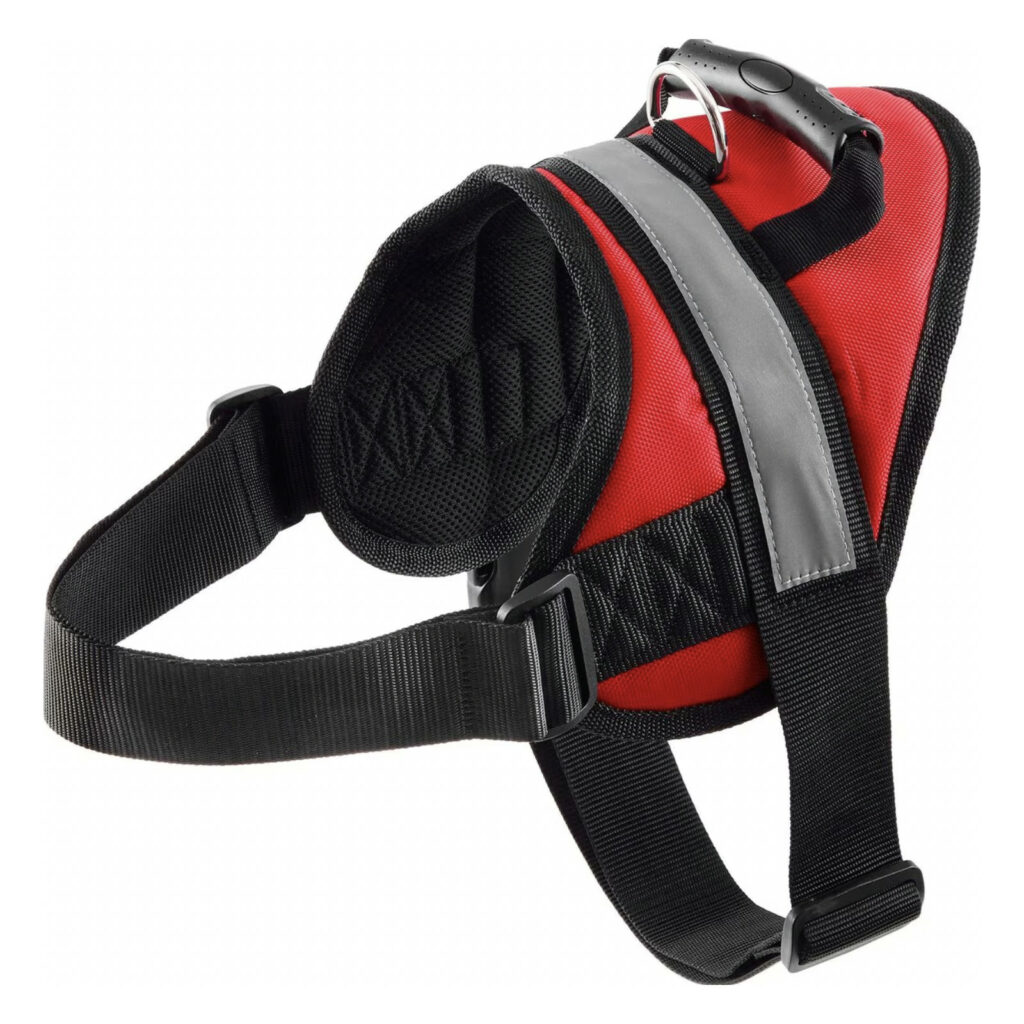 10 Best Harnesses for Bernese Mountain Dogs — 2024 Reviews & Top Picks