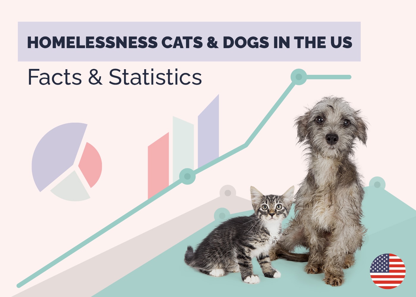 Animal Homelessness in the US Statistics