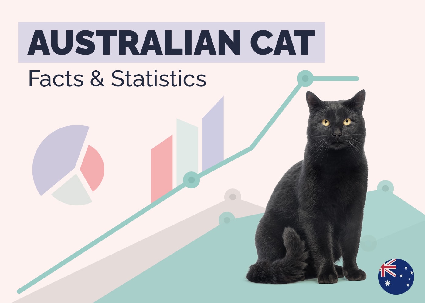 Australian Cat Facts & Statistics