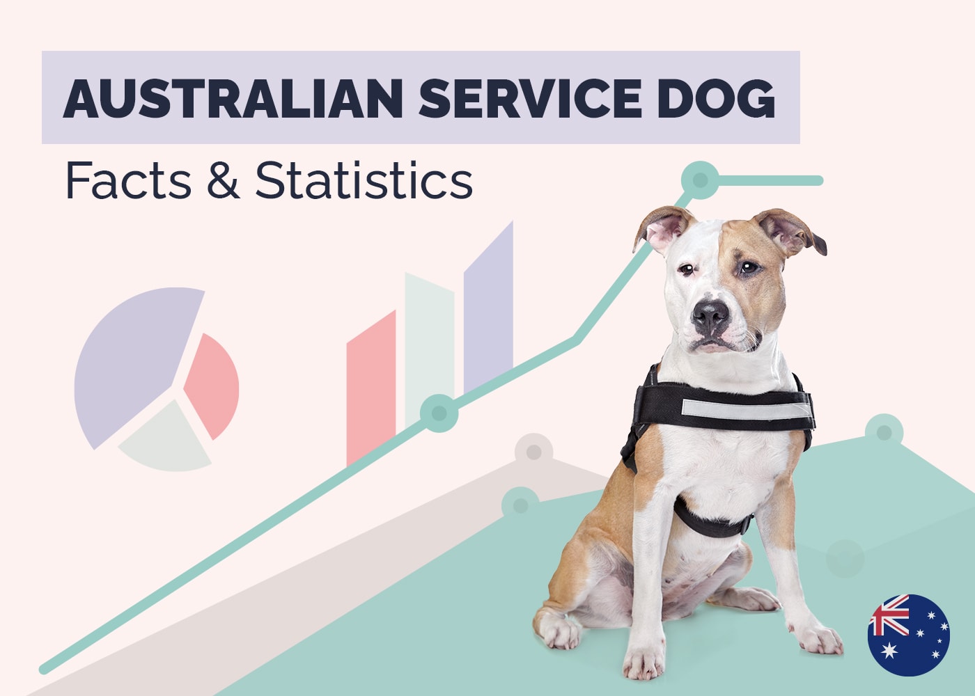 Australia Service Dog Facts & Statistics