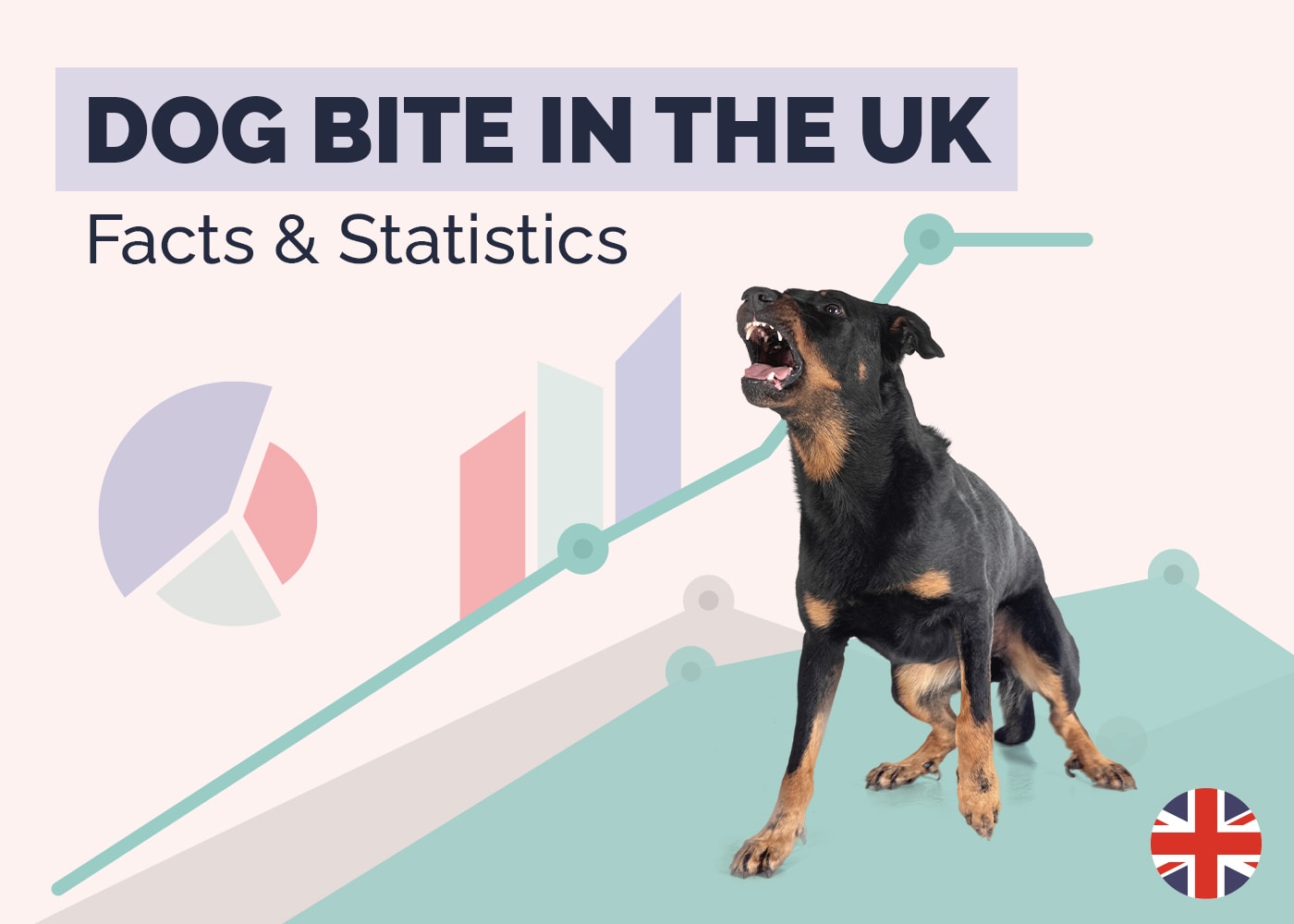 Dog Bite in the UK Statistics
