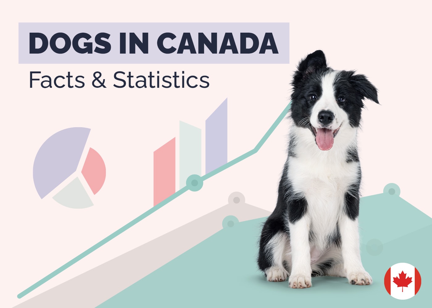 Dogs in Canada Statistics