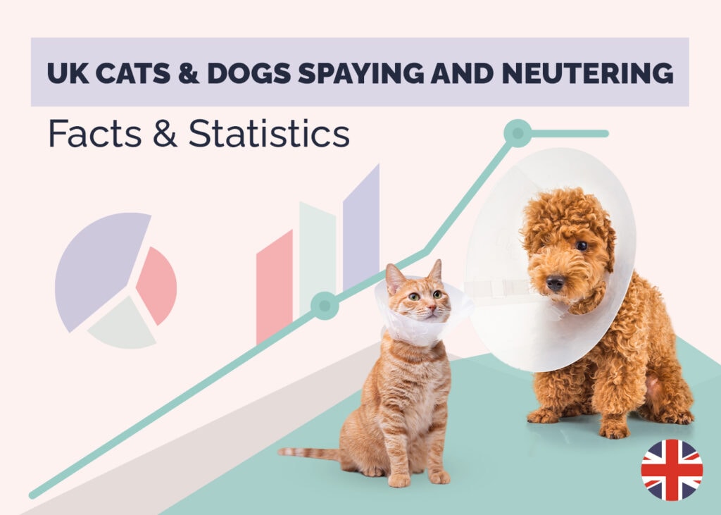 How Many Dogs & Cats are Neutered in the UK? 14 Statistics to Know in