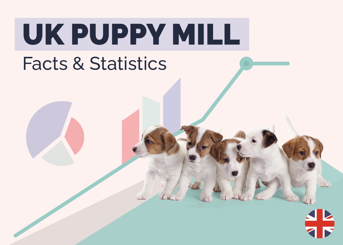 UK Puppy Mill Facts & Statistics