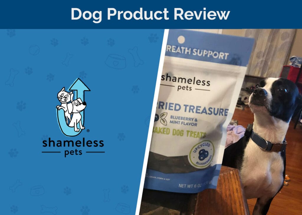 Shameless Pets Product Review