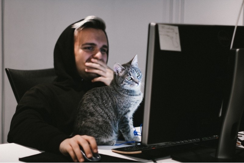 The man is working while the cat interrupts him
