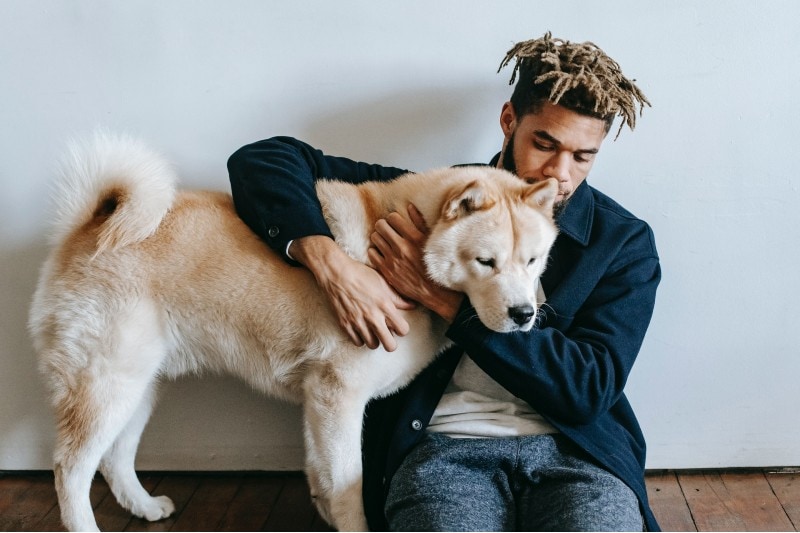 a sad dog hugging a man