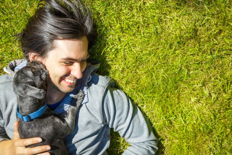 black shih tzu dog licking owner's ears while having fun outdoors