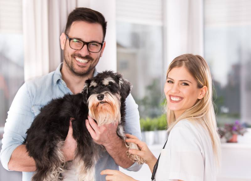 breeder and owner holding the miniature schnauzer dog