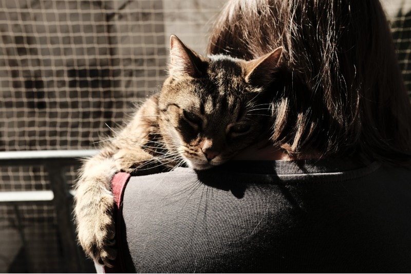 cat hugging a woman