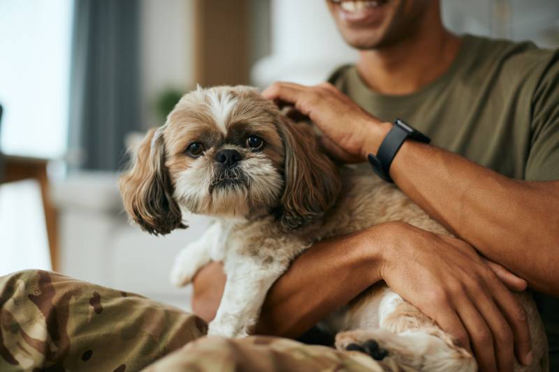 close up of soldier cuddling his dog while relaxing at home