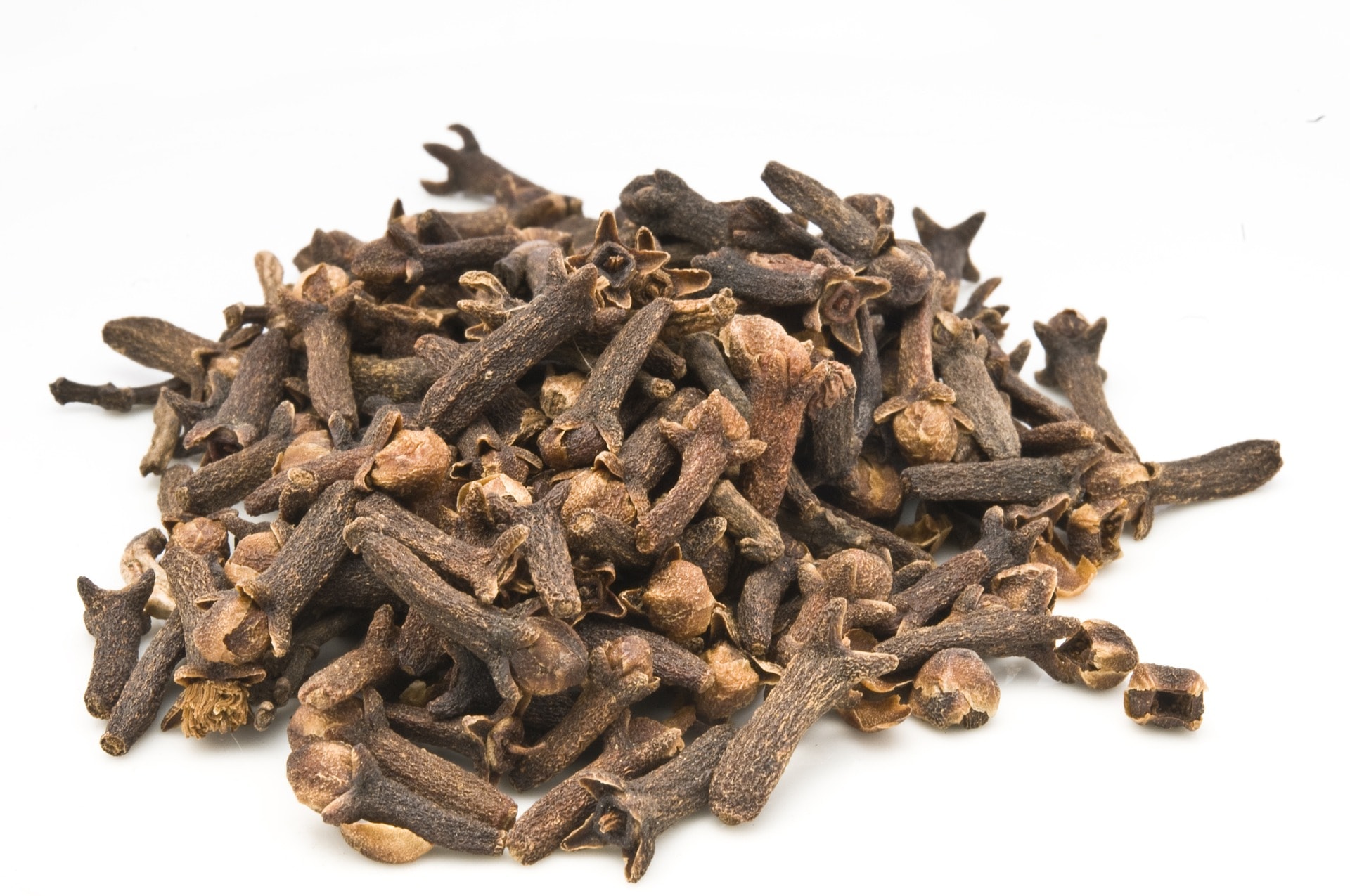 cloves in a white background