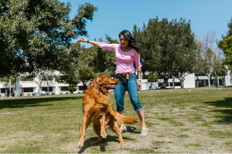 dog and woman playing together