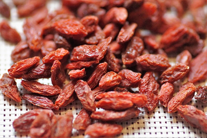goji berries close up