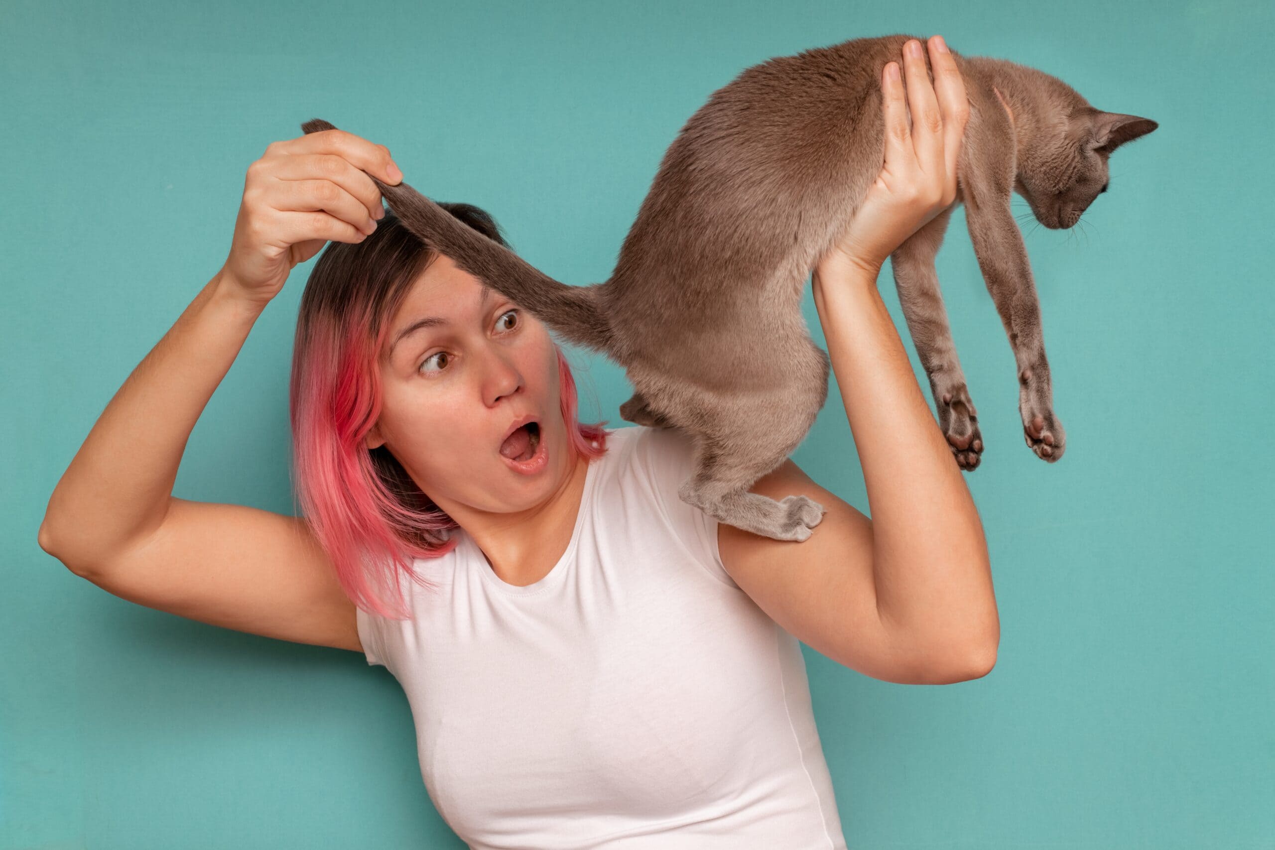 surprised woman looks under cat tail at butt