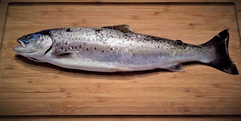 trout fish on chopping board