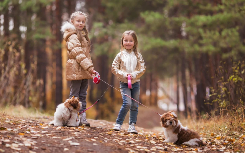 two children walking their shih tzu puppies on leashes