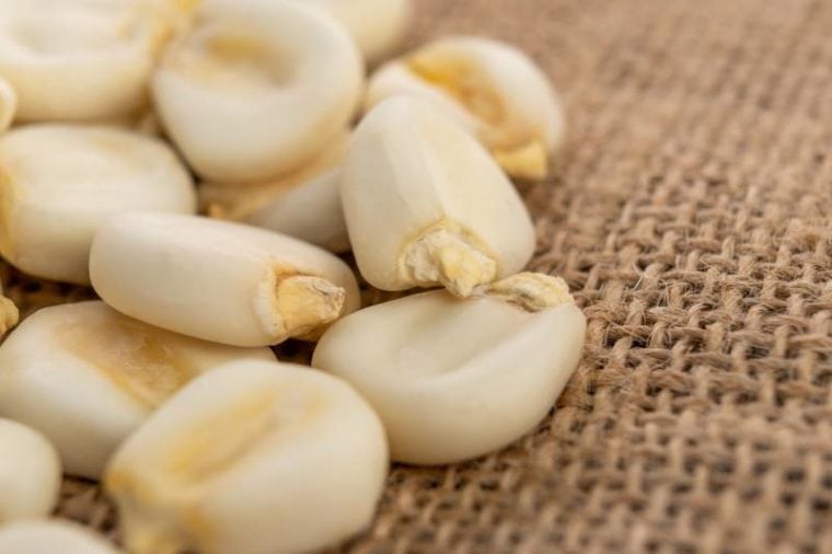 Can Dogs Eat Hominy? VetApproved Facts & FAQ Hepper