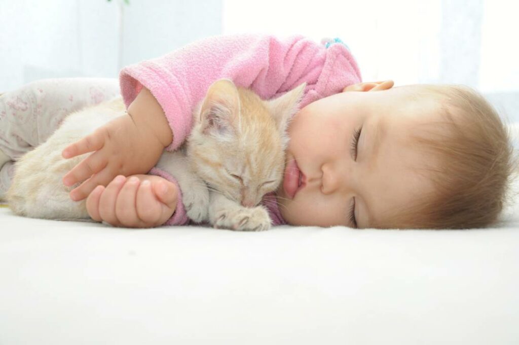 mèo và em bé