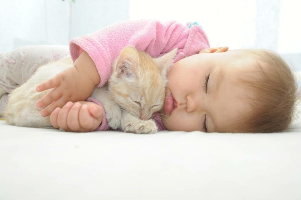 Cat and baby