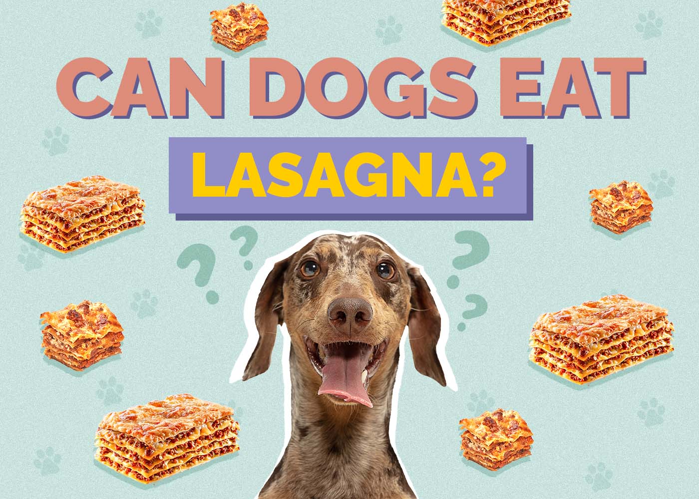Hepper_Can Dogs Eat_Lasagna