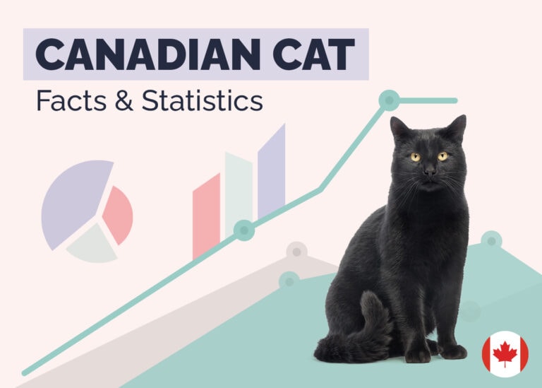 12 Incredible Canadian Cat Statistics & Facts 2024 Update Hepper