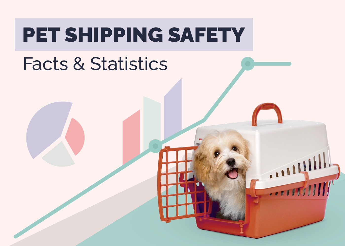 Pet Shipping Safety Facts & Statistics