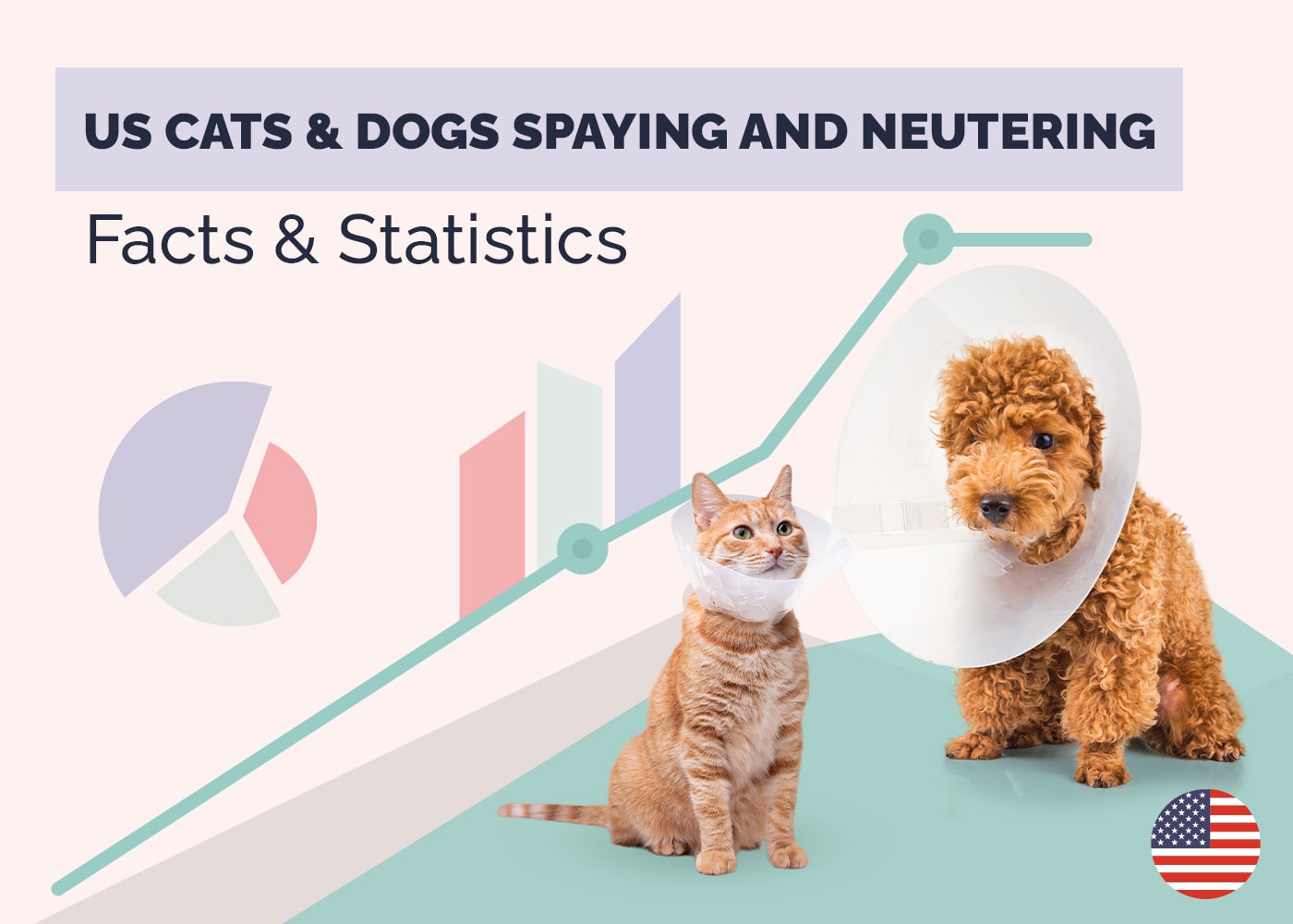 US Cat & Dogs Spaying and Neutering Facts and Statistics