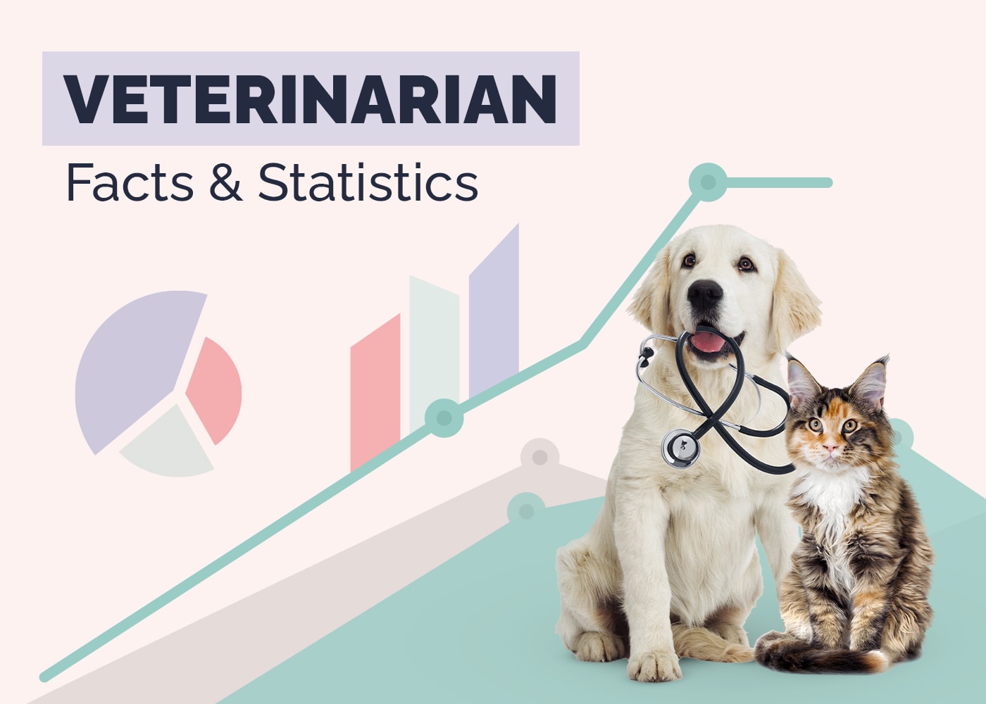 Veterinarian Facts & Statistics