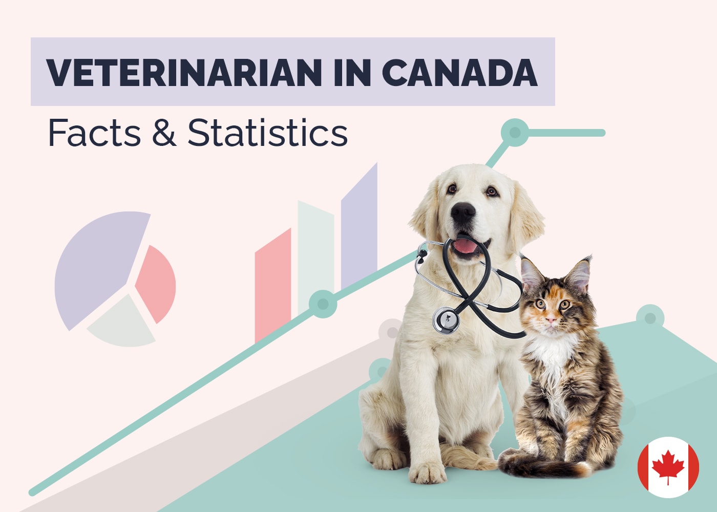 Veterinary in Canada Facts & Statistics